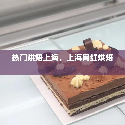 熱門烘焙上海，上海網(wǎng)紅烘焙 