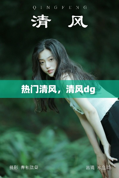 熱門清風(fēng)，清風(fēng)dg 