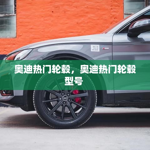 奧迪熱門輪轂，奧迪熱門輪轂型號 