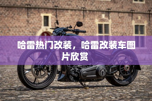 哈雷熱門改裝，哈雷改裝車圖片欣賞 