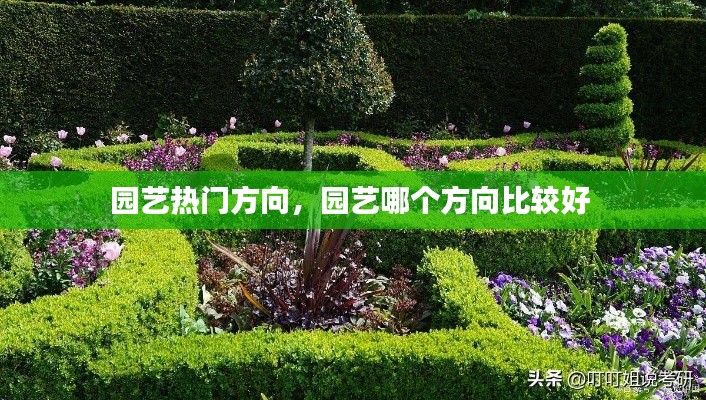 園藝熱門(mén)方向，園藝哪個(gè)方向比較好 