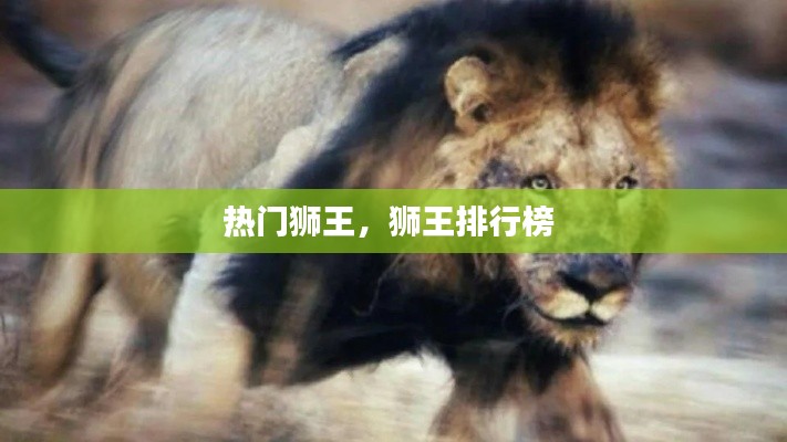 熱門獅王，獅王排行榜 