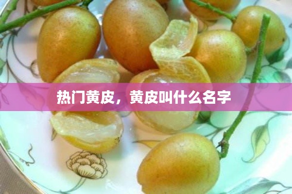 熱門黃皮，黃皮叫什么名字 