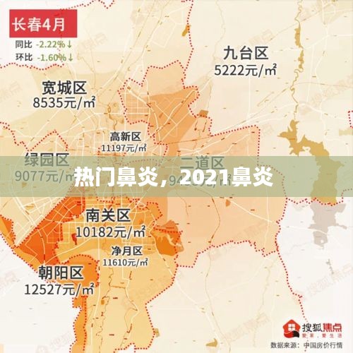 熱門鼻炎，2021鼻炎 