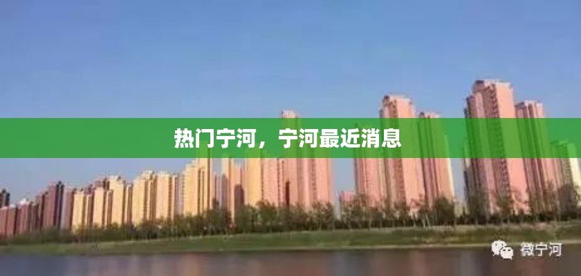 熱門寧河，寧河最近消息 