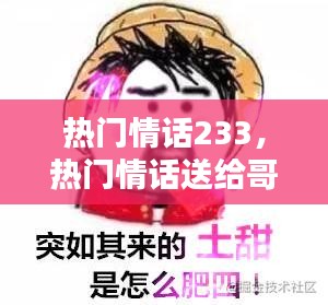 熱門(mén)情話(huà)233，熱門(mén)情話(huà)送給哥哥的話(huà) 