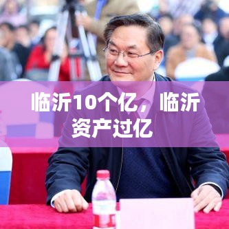 臨沂10個(gè)億，臨沂資產(chǎn)過億 