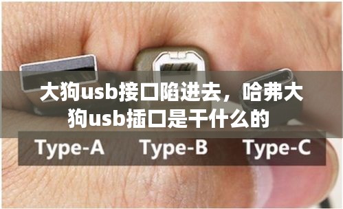 大狗usb接口陷進(jìn)去，哈弗大狗usb插口是干什么的 
