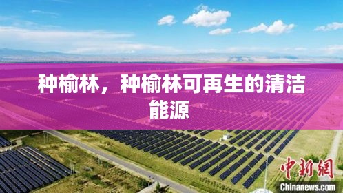 種榆林，種榆林可再生的清潔能源 