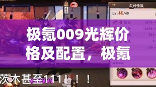 極氪009光輝價格及配置，極氪zero價格 