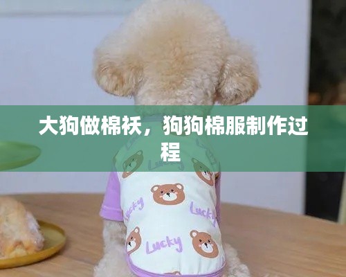 大狗做棉襖，狗狗棉服制作過程 
