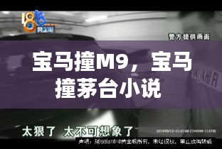 真獨(dú)簡貴 第2頁