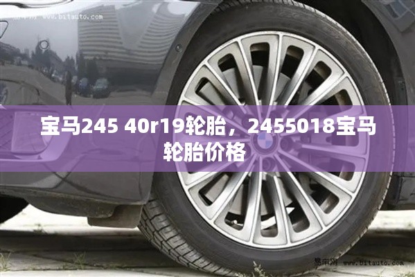 寶馬245 40r19輪胎，2455018寶馬輪胎價(jià)格 