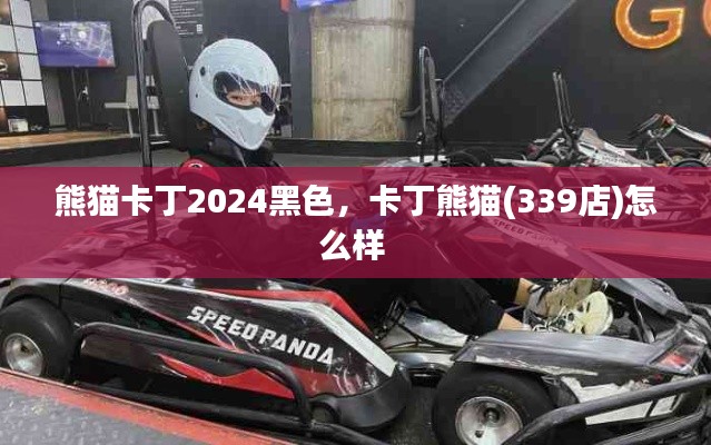 熊貓卡丁2024黑色，卡丁熊貓(339店)怎么樣 