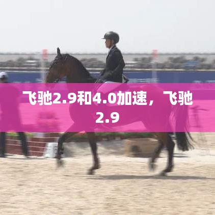 飛馳2.9和4.0加速，飛馳 2.9 