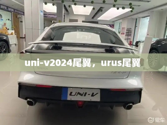 uni-v2024尾翼，urus尾翼 
