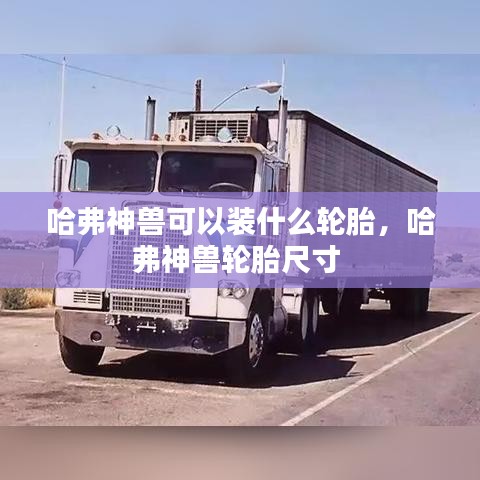 哈弗神獸可以裝什么輪胎，哈弗神獸輪胎尺寸 