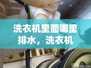 綽約多姿 第2頁