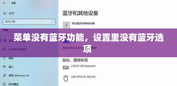 菜單沒(méi)有藍(lán)牙功能，設(shè)置里沒(méi)有藍(lán)牙選項(xiàng) 