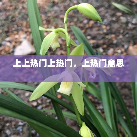 上上熱門上熱門，上熱門意思 