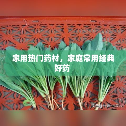 家用熱門(mén)藥材，家庭常用經(jīng)典好藥 