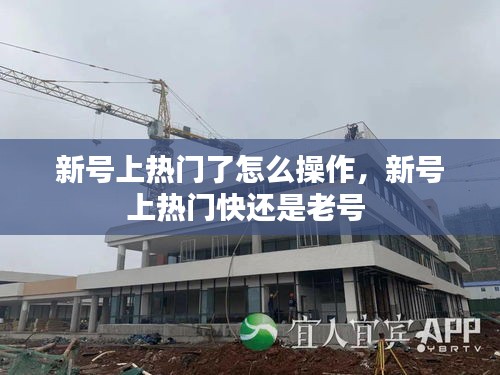 新號(hào)上熱門了怎么操作，新號(hào)上熱門快還是老號(hào) 