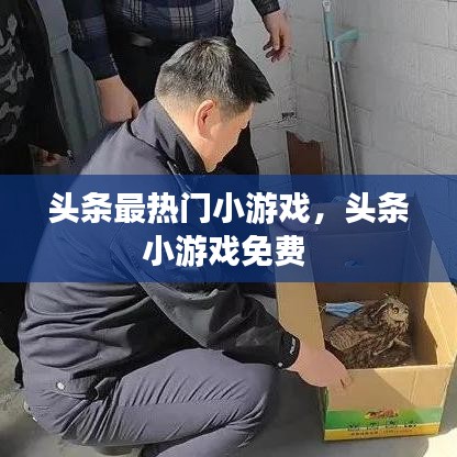 頭條最熱門小游戲，頭條小游戲免費(fèi) 