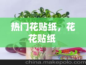 熱門花貼紙，花花貼紙 