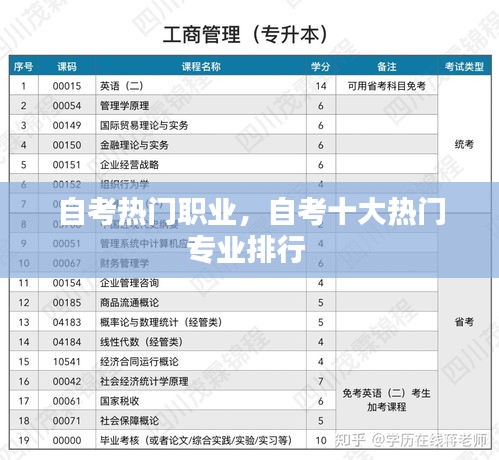 自考熱門職業(yè)，自考十大熱門專業(yè)排行 