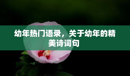 幼年熱門語錄，關于幼年的精美詩詞句 