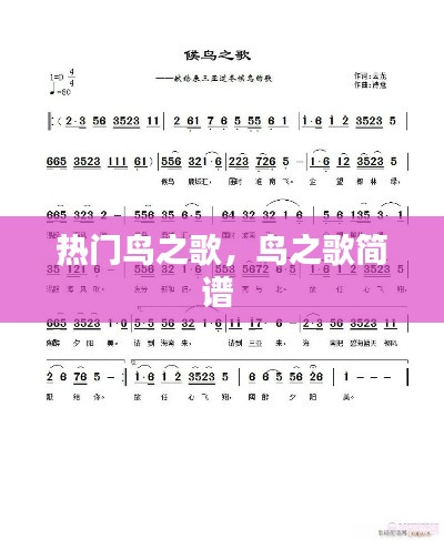 熱門(mén)鳥(niǎo)之歌，鳥(niǎo)之歌簡(jiǎn)譜 