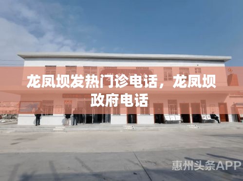 龍鳳壩發(fā)熱門診電話，龍鳳壩政府電話 
