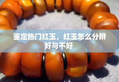 鑒定熱門(mén)紅玉，紅玉怎么分辨好與不好 