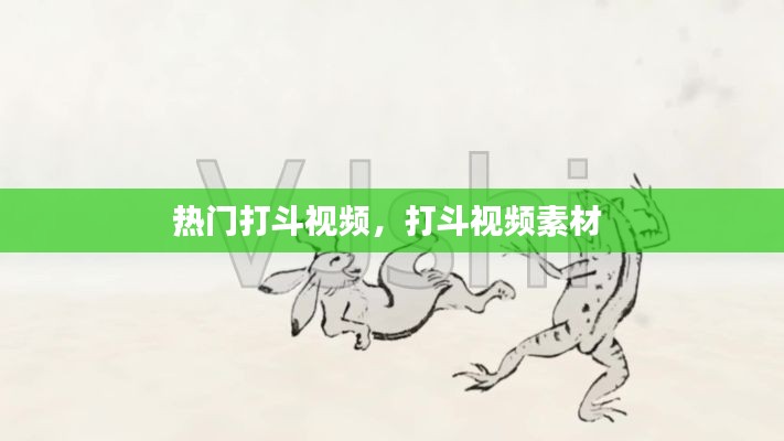 熱門打斗視頻，打斗視頻素材 