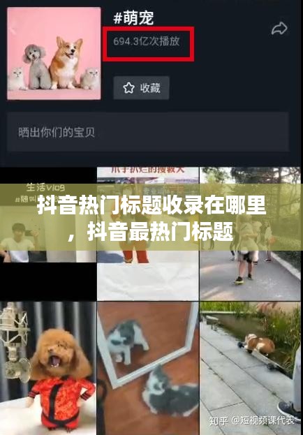 抖音熱門標題收錄在哪里，抖音最熱門標題 