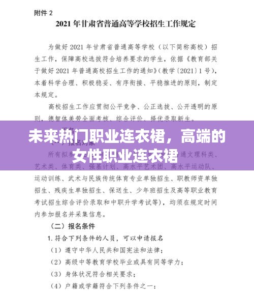 未來熱門職業(yè)連衣裙，高端的女性職業(yè)連衣裙 
