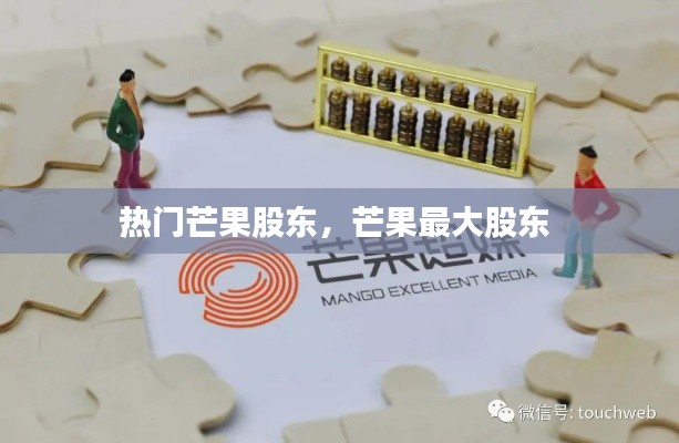 熱門(mén)芒果股東，芒果最大股東 