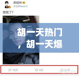 胡一天熱門，胡一天爆火 