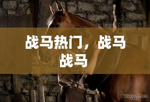接連不斷 第2頁(yè)