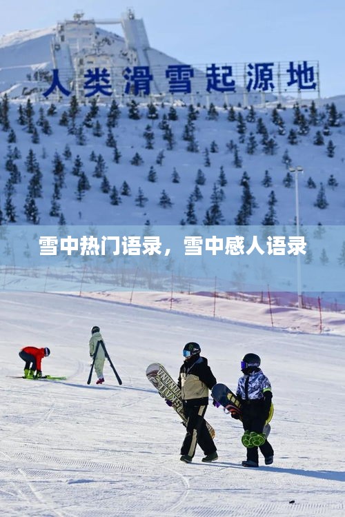 雪中熱門(mén)語(yǔ)錄，雪中感人語(yǔ)錄 