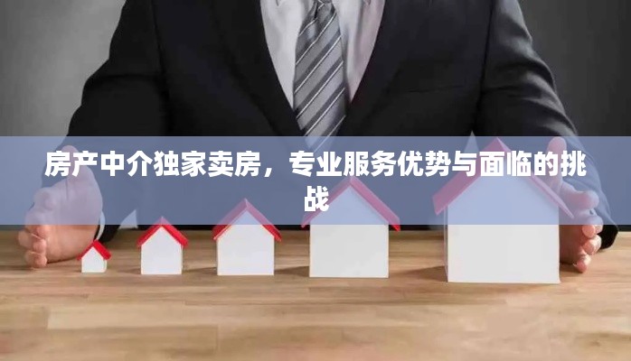 房產(chǎn)中介獨(dú)家賣房，專業(yè)服務(wù)優(yōu)勢(shì)與面臨的挑戰(zhàn)