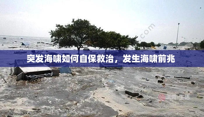 突發(fā)海嘯如何自保救治，發(fā)生海嘯前兆 