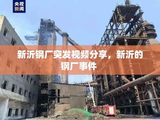 新沂鋼廠突發(fā)視頻分享，新沂的鋼廠事件 