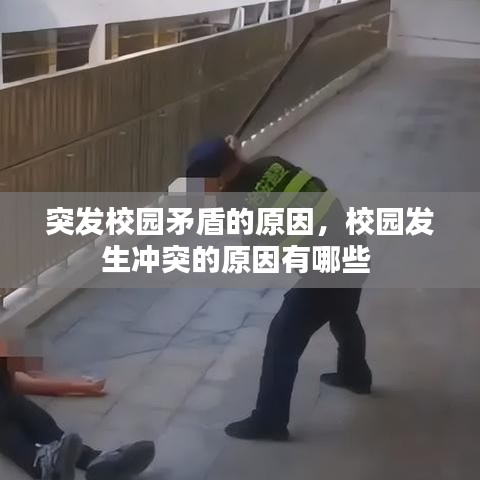 突發(fā)校園矛盾的原因，校園發(fā)生沖突的原因有哪些 