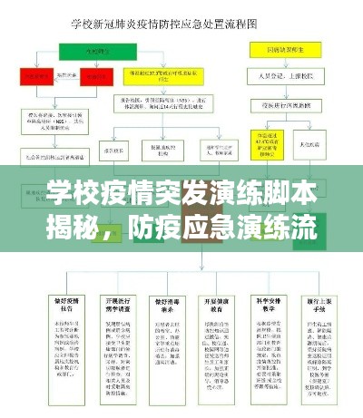 學(xué)校疫情突發(fā)演練腳本揭秘，防疫應(yīng)急演練流程全解析！