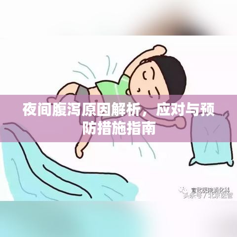 夜間腹瀉原因解析，應(yīng)對(duì)與預(yù)防措施指南