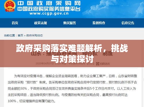 政府采購落實難題解析，挑戰(zhàn)與對策探討