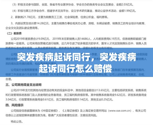 突發(fā)疾病起訴同行，突發(fā)疾病起訴同行怎么賠償 