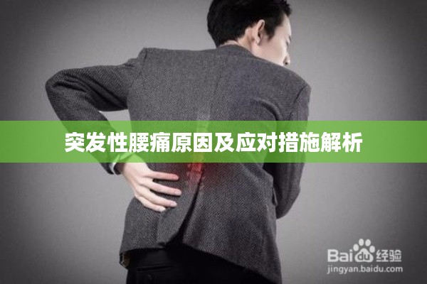 突發(fā)性腰痛原因及應(yīng)對(duì)措施解析