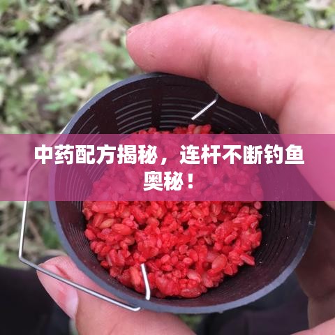 中藥配方揭秘，連桿不斷釣魚(yú)奧秘！